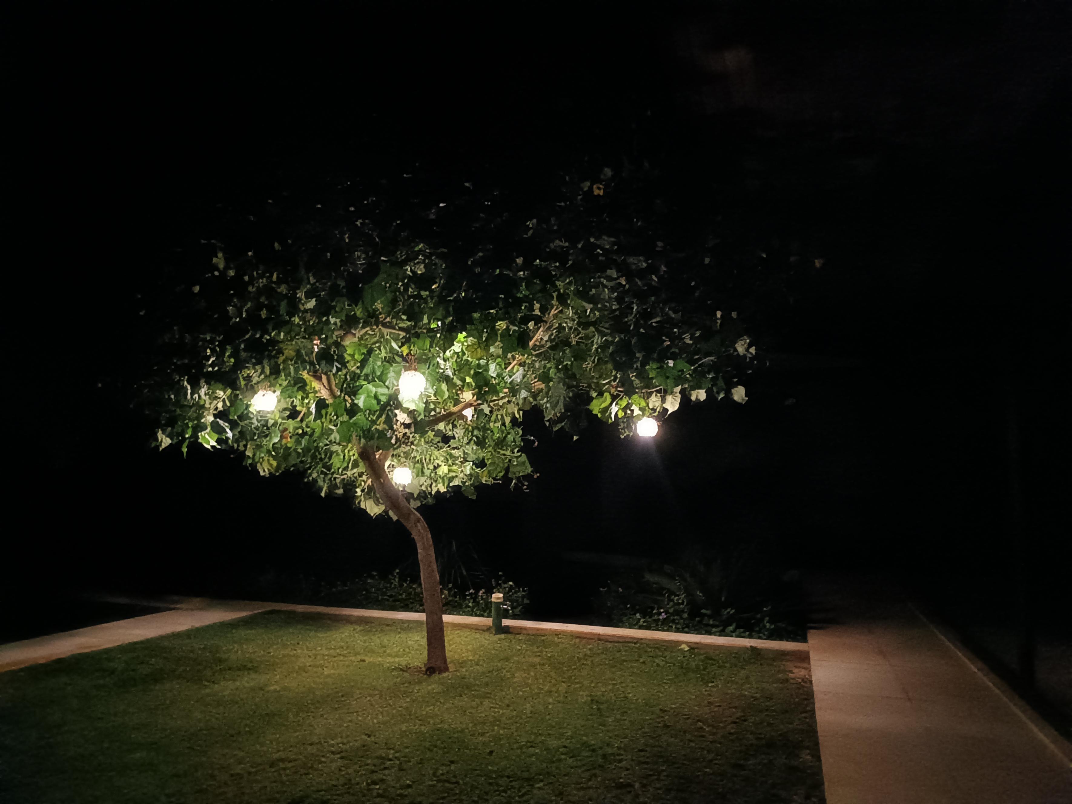 Iluminação decorativa de árvore